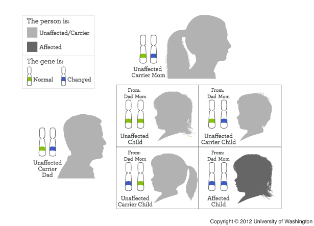 Autosomal recessive inheritance | My46